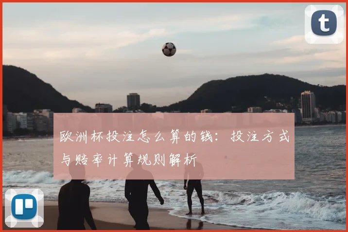 欧洲杯投注怎么算的钱：投注方式与赔率计算规则解析