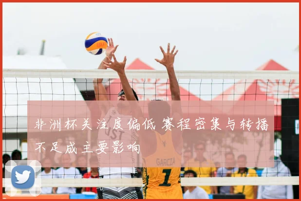 非洲杯关注度偏低 赛程密集与转播不足成主要影响