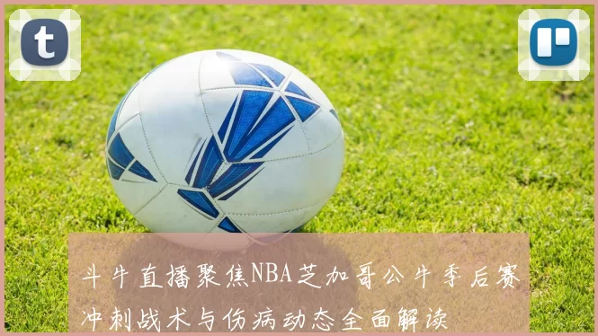斗牛直播聚焦NBA芝加哥公牛季后赛冲刺战术与伤病动态全面解读